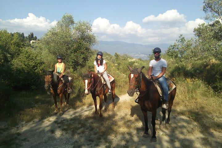 Horse ride, Olive Oil and local foods tasting in a Tuscan farm