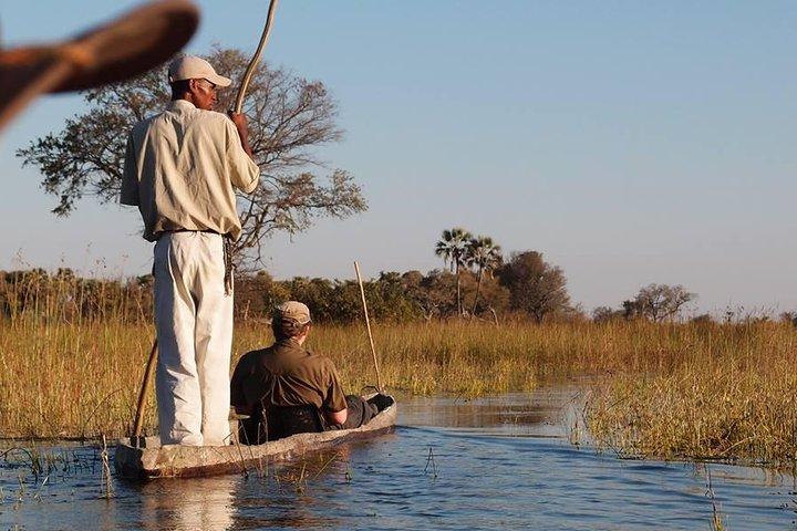 11 Days Safari Tour In Botswana