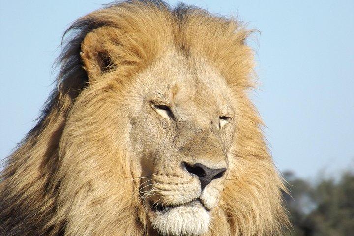 11 Days Safari Tour In Botswana