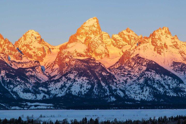 Best of Jackson Hole Wildlife Safari Tour