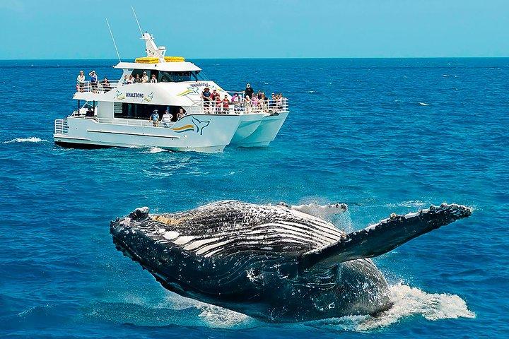 Round tour in Sri Lanka 11daysby Aaliya Tours-Hotels with H/B