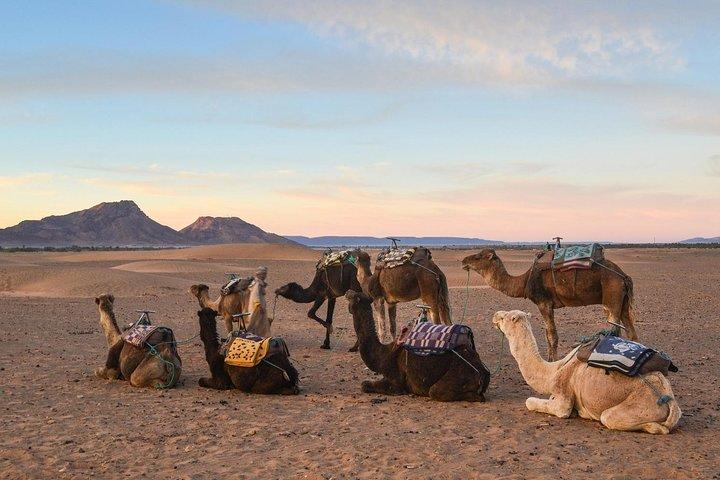 2-Days Zagora desert tour from Marrakech