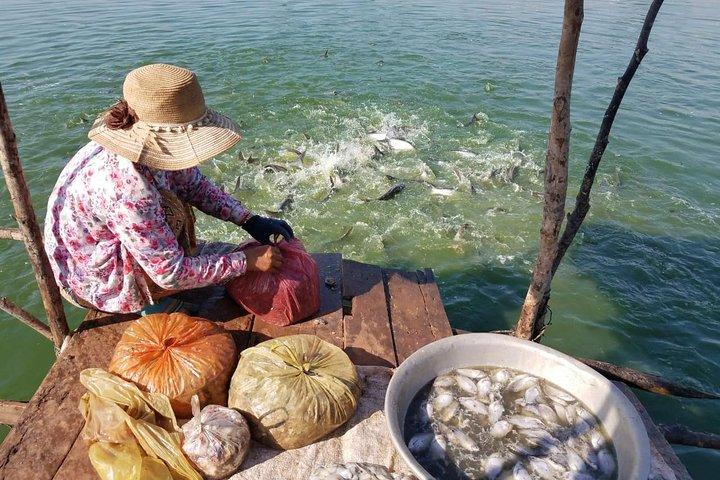 Bicycle Tour to Local village and rice fields in Siem Reap