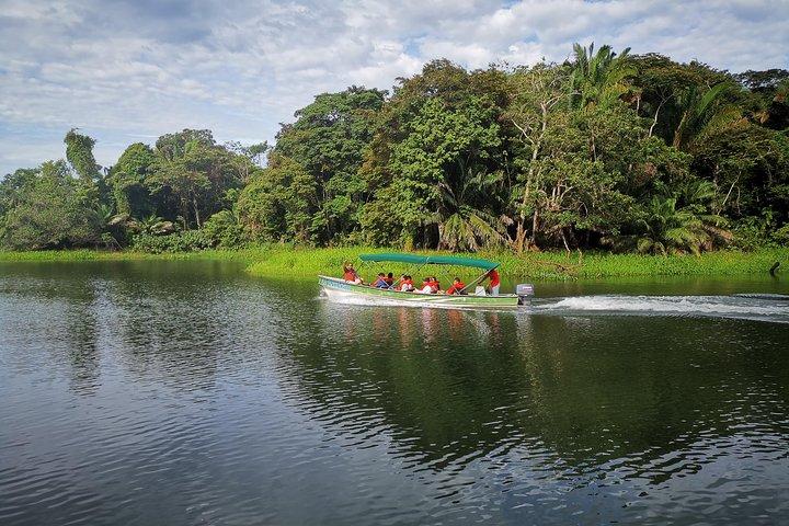 Monkey & Sloth Panama Canal Boat Safari with Casco Viejo Brunch
