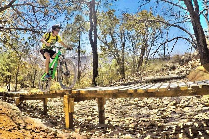 Mountain Biking Tour at La Primavera Forest