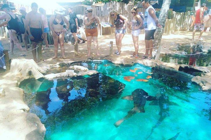 Regular Tour to Forte Beach - Leaving Salvador by Bahia Top Turismo