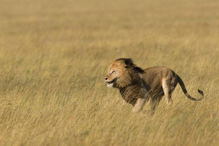 3 Days Tanzania Short and Spicy