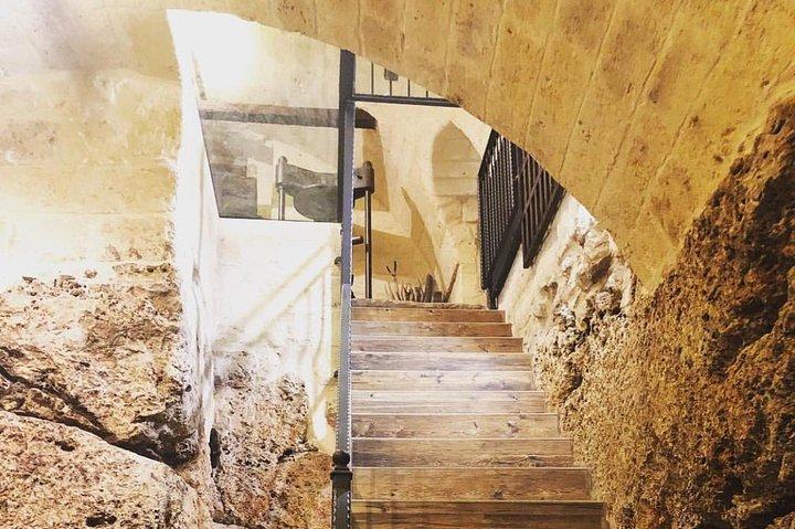 Guided tour and tasting at La Cantina Frrud - Wine Museum