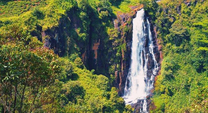 All in one Sri lanka 7nights 8 days for couple price
