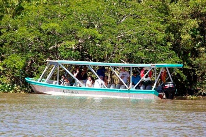 Tamarindo Estuary Boat Safari
