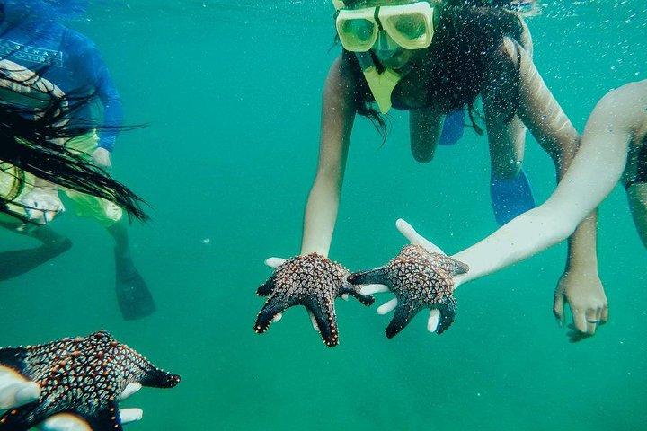 Tamarindo Kayaking Tour with Snorkeling at Captain Island