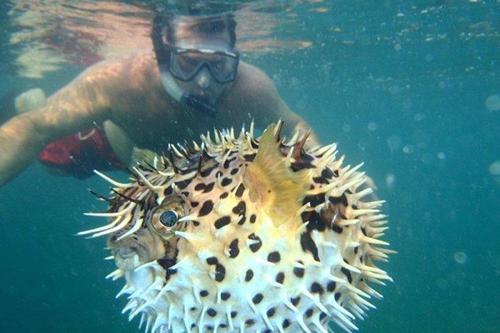 Tamarindo Kayaking Tour with Snorkeling at Captain Island