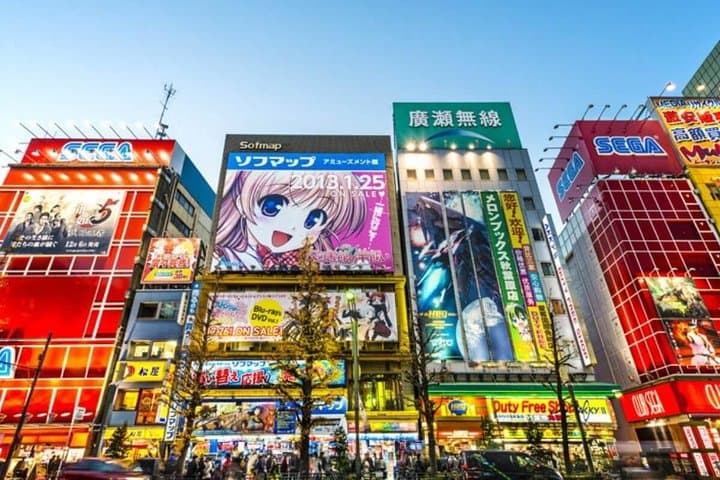 Tokyo Private Off-Beat Tour Hidden Oddities & Icons with a Local