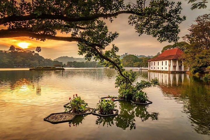 All Inclusive Kandy Day Tour from Colombo & Negombo