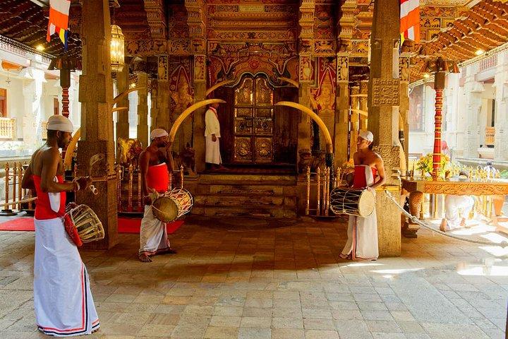 All Inclusive Kandy Day Tour from Colombo & Negombo
