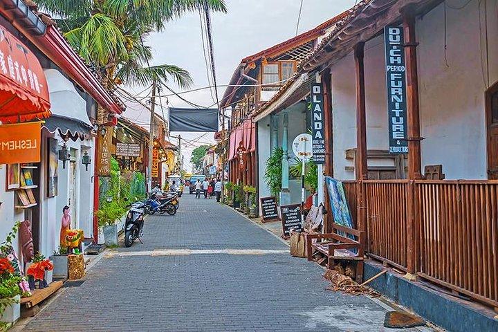 All Inclusive Galle Day Tour from Colombo & Negombo