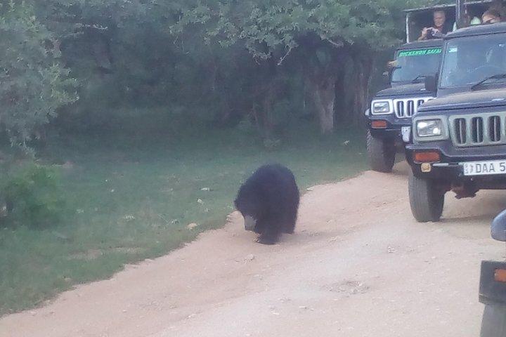 All inclusive Private jeep safari at Yala National park
