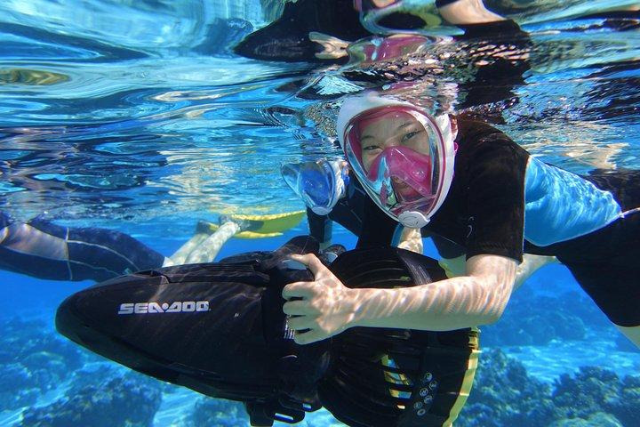 Sea Scooter Snorkeling: Sharks, Stingrays, Turtles & Coral
