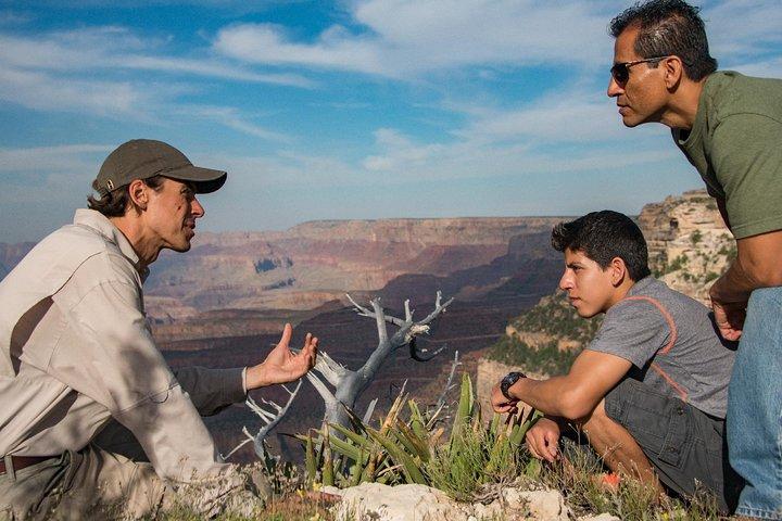 Grand Canyon South Rim Day Tour from Las Vegas