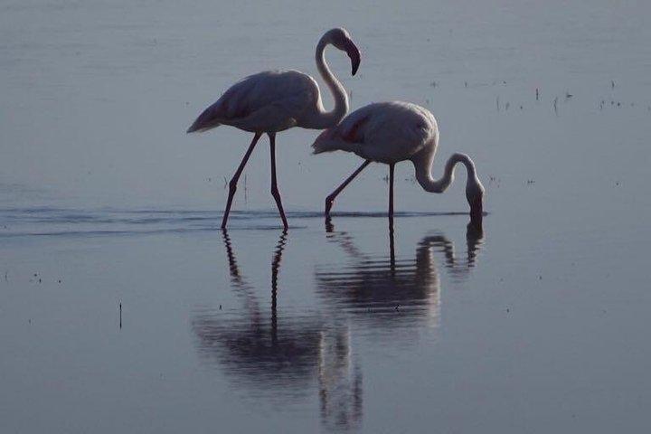 3 - Days Tanzania Wildlife Safari