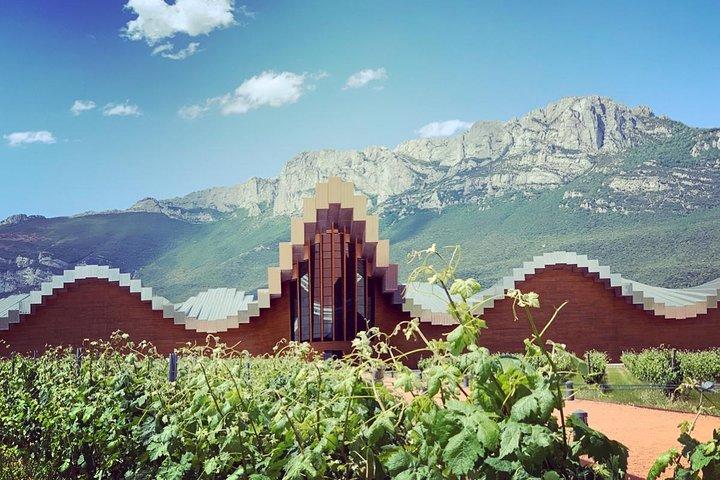 3 Rioja Wineries: Marqués de Riscal, Ysios & More from Bilbao