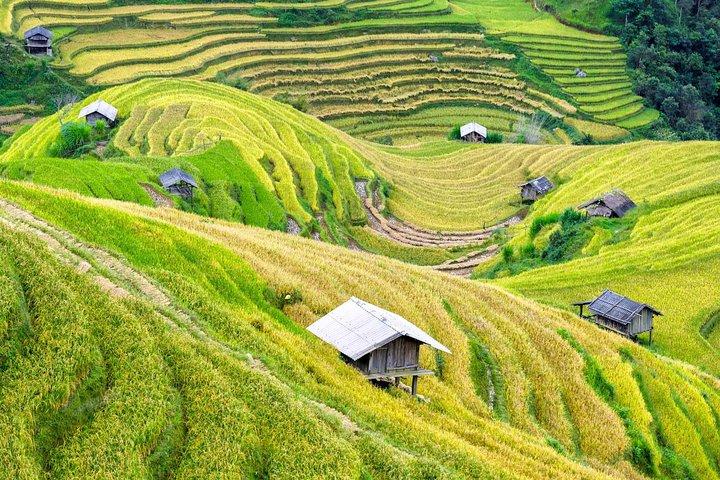 Sapa package tour 2 days 1 night from Ha Noi