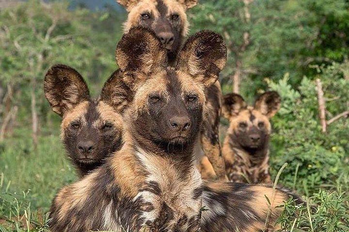 Day trip in Arusha National Park