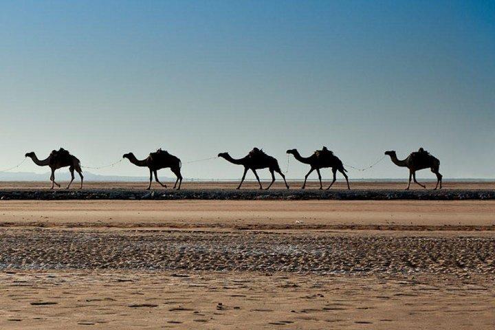 Ethiopian Tours To Danakil Depression & North With Omo Valley Tribes 15 Days