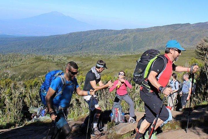 Day trip in Kilimanjaro National Park