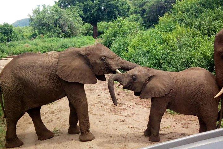 3 - Days Tanzania Wildlife Safari
