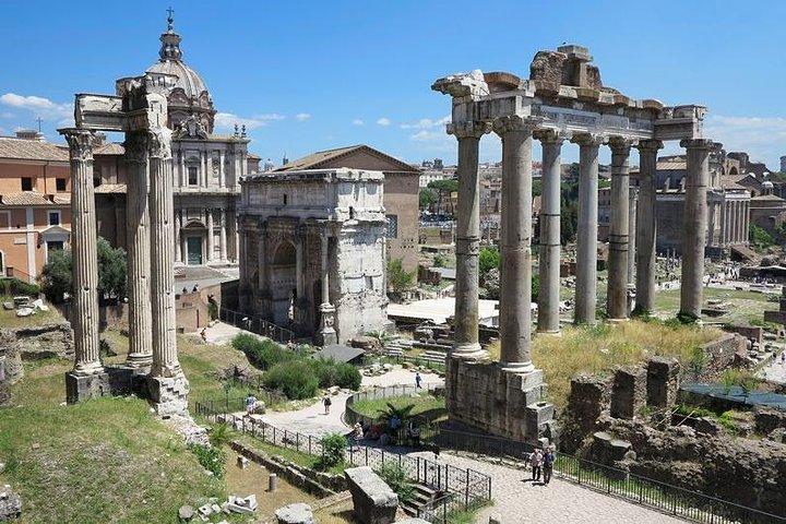 Colosseum Roman Forum Palatine VIP Private Tour