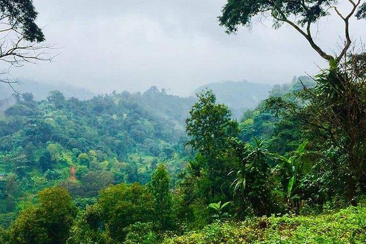 Materuni waterfalls & coffee tour