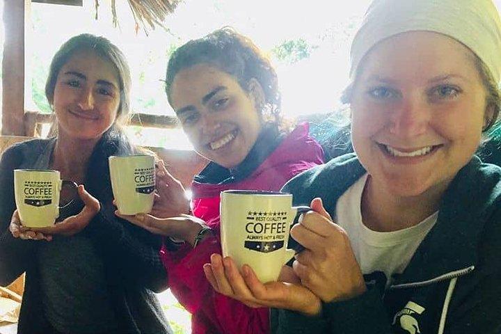 Materuni waterfalls & coffee tour