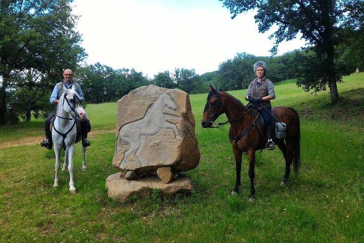 Private Tuscany Horse Ride, Wine Tasting and local food at Estate