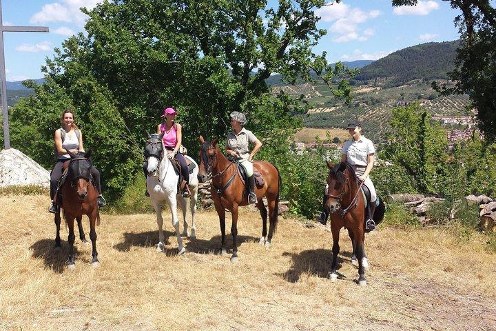 Private Tuscany Horse Ride, Wine Tasting and local food at Estate