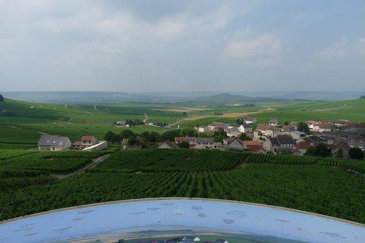 Private Day-trip in Champagne from Paris : winery, tastings and Reims cathedral