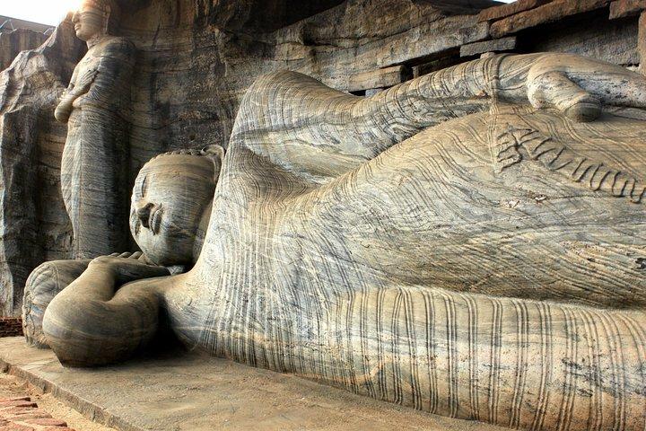 Polonnaruwa Ancient City and Wildlife Safari from Colombo