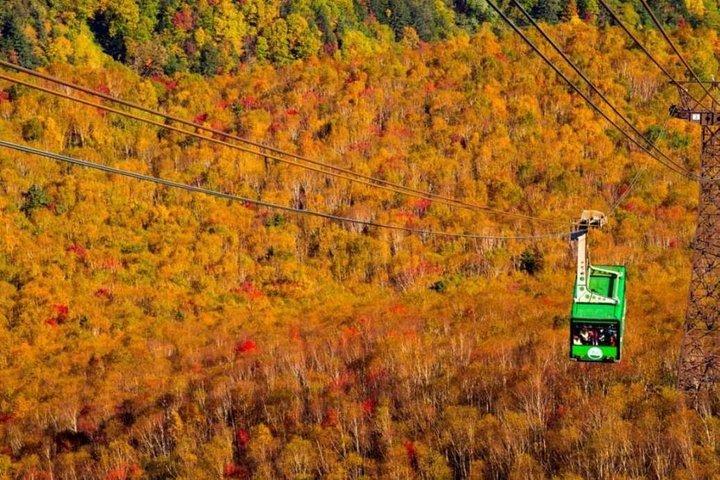 Daisetsuzan National Park and Kurodake Ropeway Autumn Tour