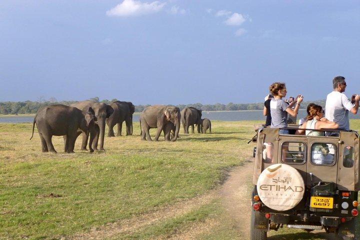 All-inclusive Sigiriya Fortress and Wildlife Safari from Colombo