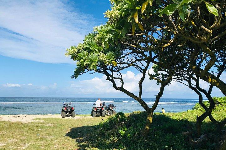 Quad Excursion South Mauritius 35km
