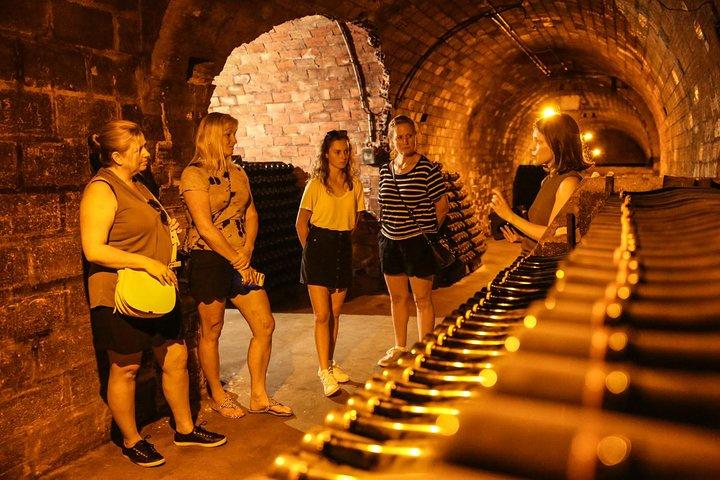 Small Group - Half Day Champagne Tour - Visit of 2 Small Producers/Growers