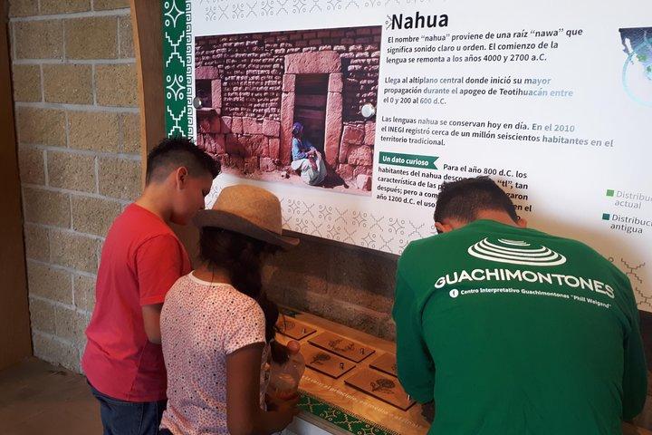 Guachimontones and Tequila Tour