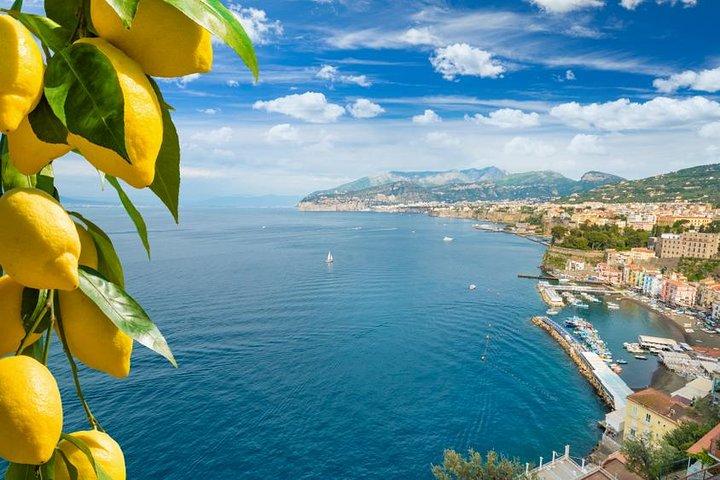 Sorrento, Capri and Positano: full-day private tour from Rome