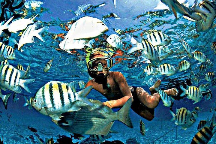 Reef Snorkel & Ocean Paddle Adventure in Fort Lauderdale Beach