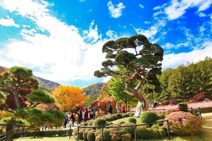 One Day Private Tour-Nami, Petite and Garden of Morning Calm