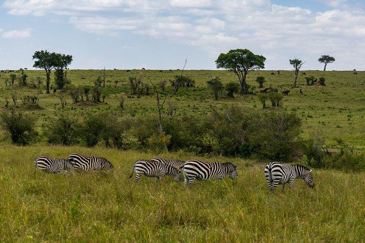 5 Days Wildebeest Migration Safari