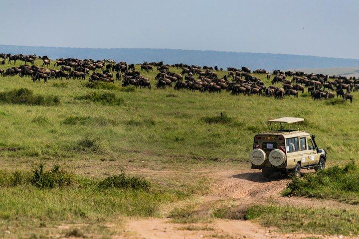 5 Days Wildebeest Migration Safari