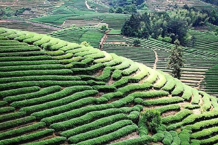 Tianluokeng Tulou Village Private Guided Day Trip from Xiamen