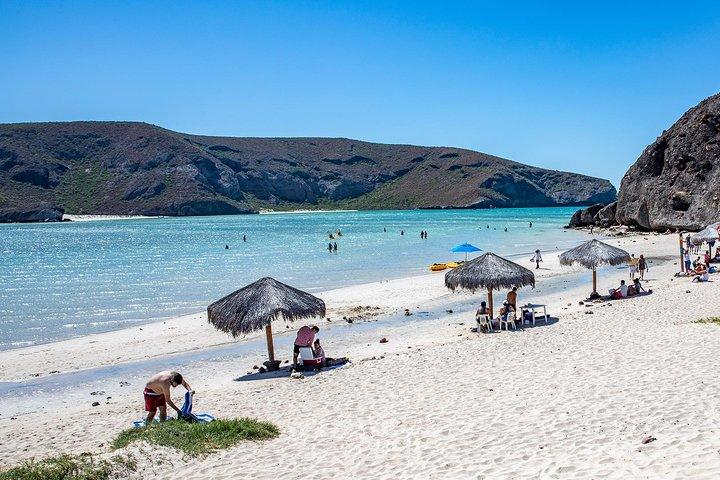Day Trip to La Paz & Balandra Beach from Cabo San Lucas