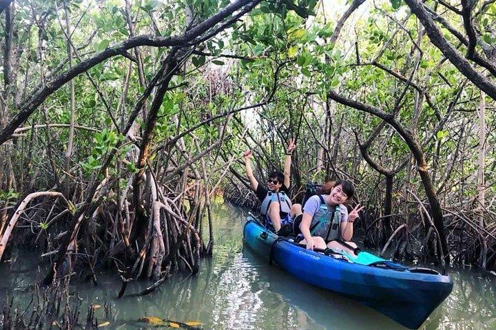 Thousand Island Mangrove Tunnel, Manatee & Dolphin Kayak Tour w/Cocoa Kayaking